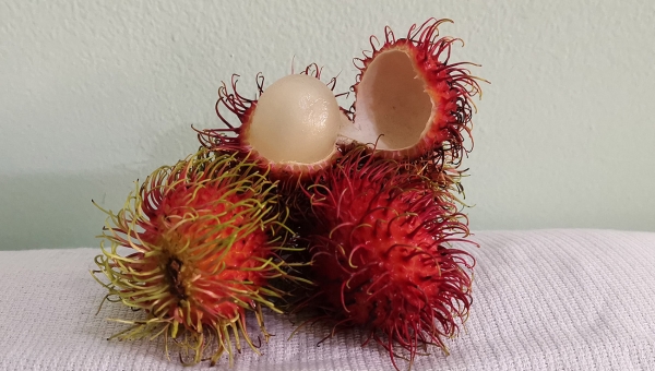 Mamón Chino - Rambután 585g
