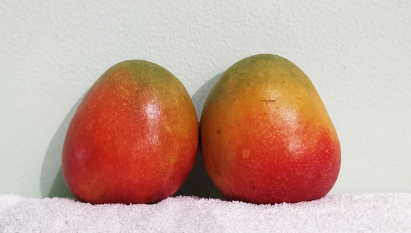 Manga Importada 380g / Walmart