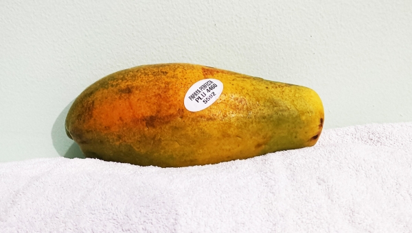 Papalla Fresca 965g / Walmart