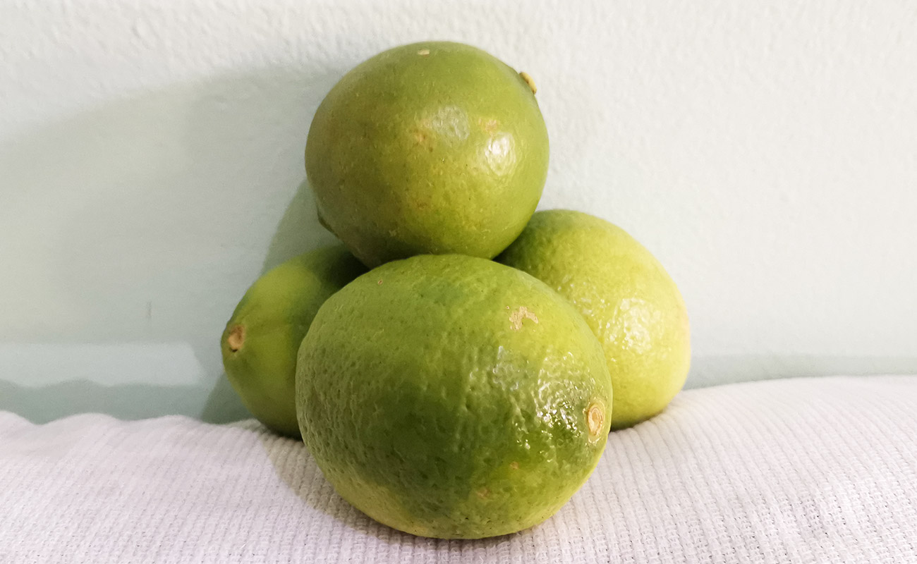 limon-mesino-unidad-la-gran-bodega-frutas-verduras-flores-heredia-23072023