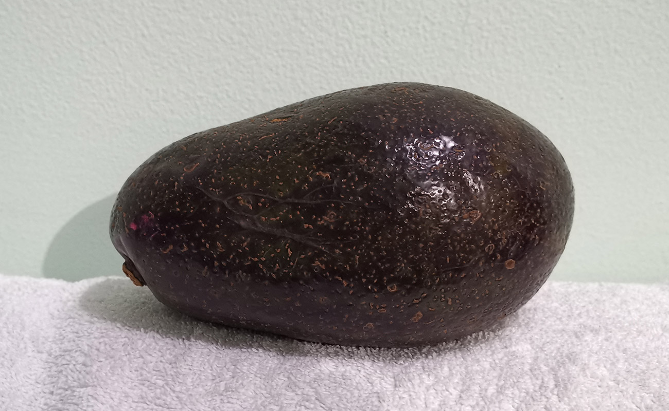 Aguacate 1Kg / La Gran Bodega de Frutas y Verduras, Flores, Heredia-03082023