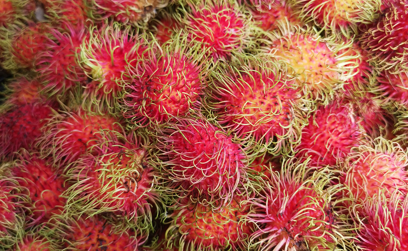 Mamón Chino - Rambután / Verduleria Xioma, San Isidro, Heredia-04082023