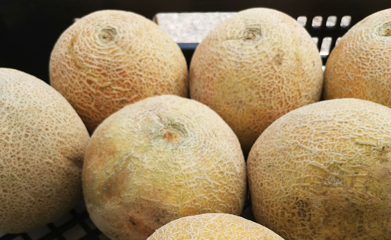 Melón / Verduleria Xioma, San Isidro, Heredia-04082023