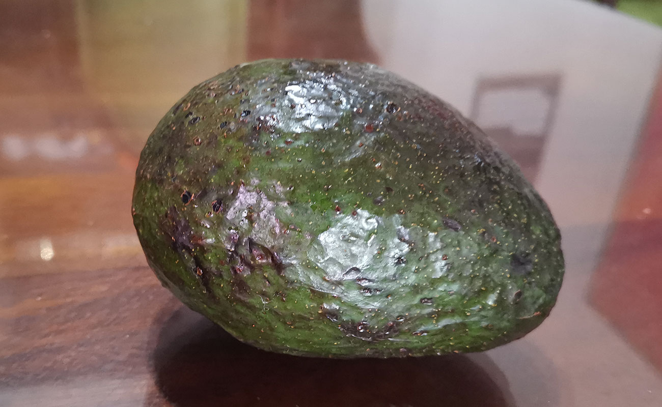 aguacate-280g-hass-mexicano-automercado-san-francisco-heredia-11102023