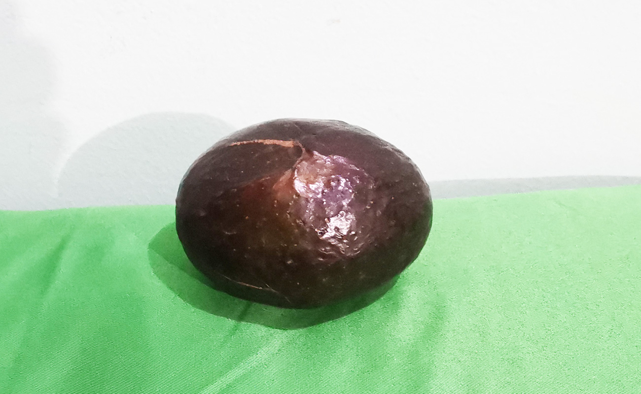 aguacate-hass-3-Pack-mercado-central-distrito-los-angeles-canton-heredia-heredia-163022024