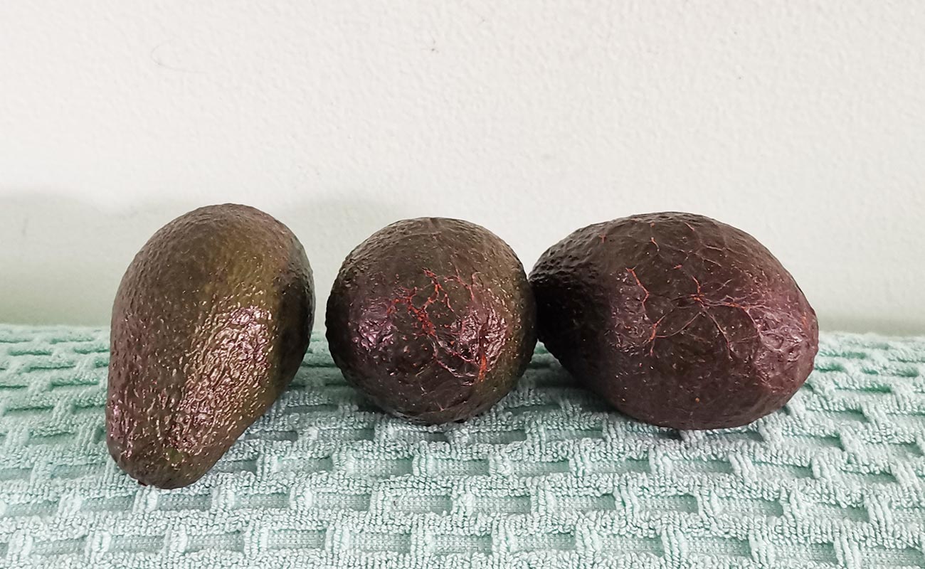 aguacate-hass-525g-walmart-distrito-san-francisco-canton-heredia-heredia-23062024