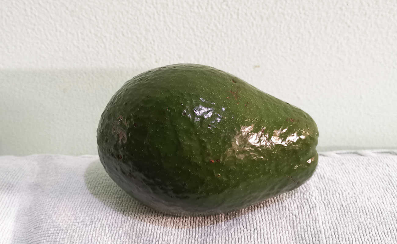 queso-poroso-370g-frutas-verduras-la-gran-bodega-flores-heredia-28102023