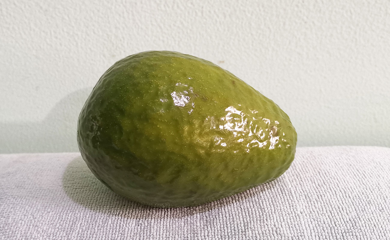 aguacate-nacional-440g-verduras-la-gran-bodega-distrito-san-francisco-canton-heredia-heredia-12122023 (2)