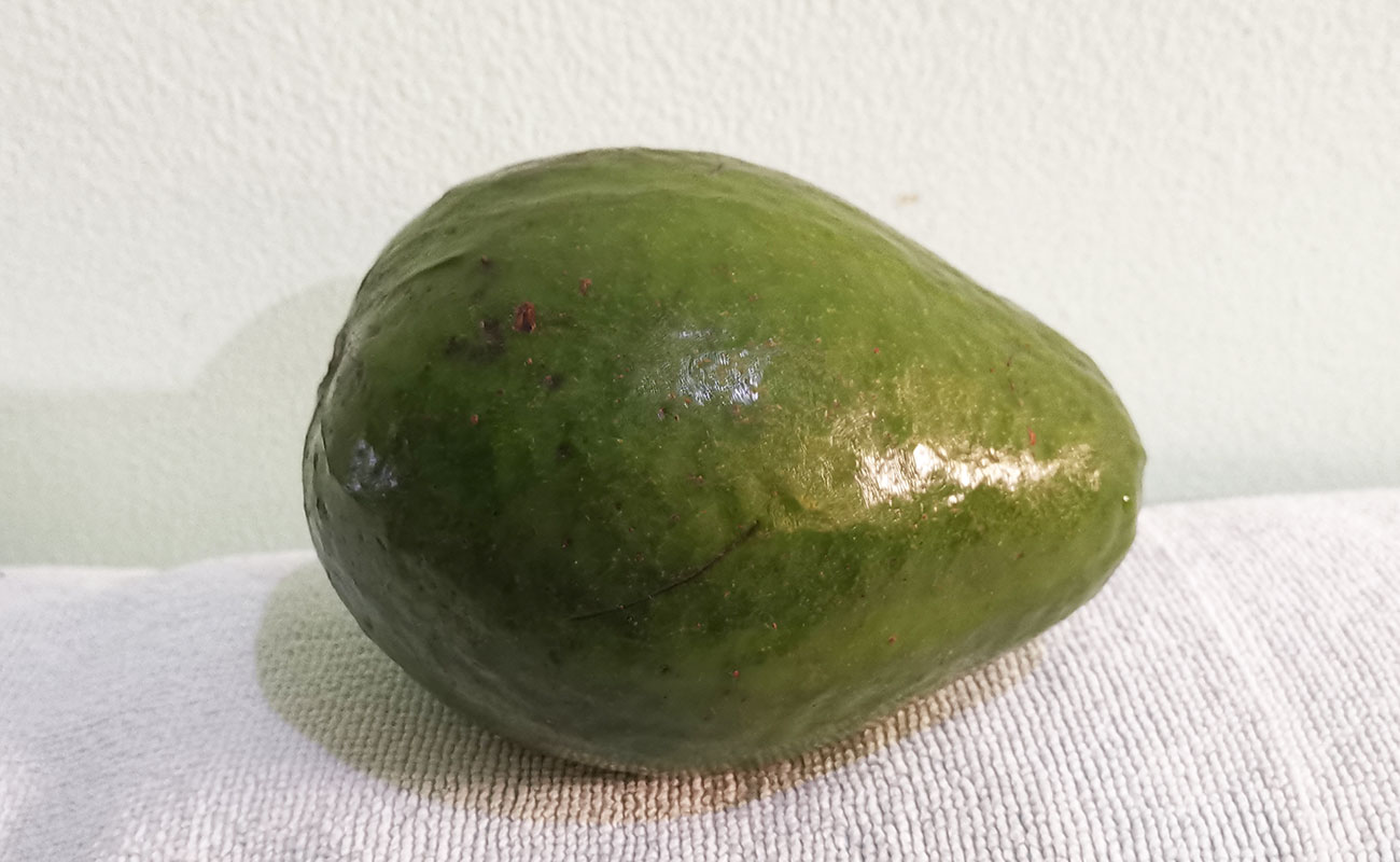 aguacate-nacional-470g-verduras-la-gran-bodega-distrito-san-francisco-canton-heredia-heredia-16012024