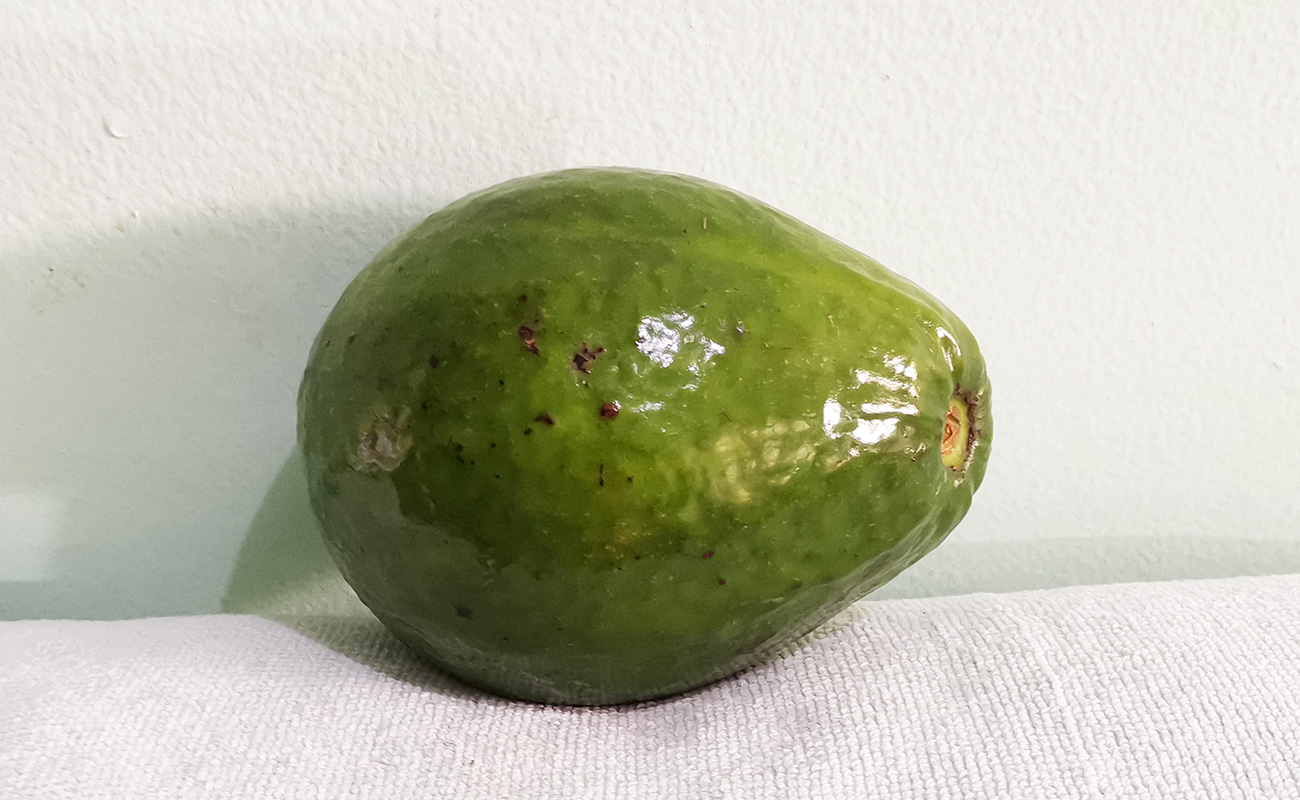 aguacate-nacional-475g-walmart-distrito-san-francisco-canton-san-francisco-heredia-27012024