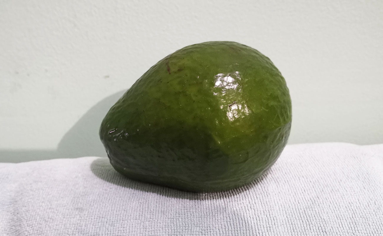 aguacate-nacional-580g-masxmenos-distrito-san-francisco-canton-heredia-heredia-23112023