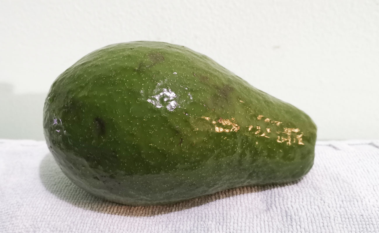 aguacate-nacional-790g-frutas-verduras-la-gran-bodega-canton-de-flores-heredia-13112023