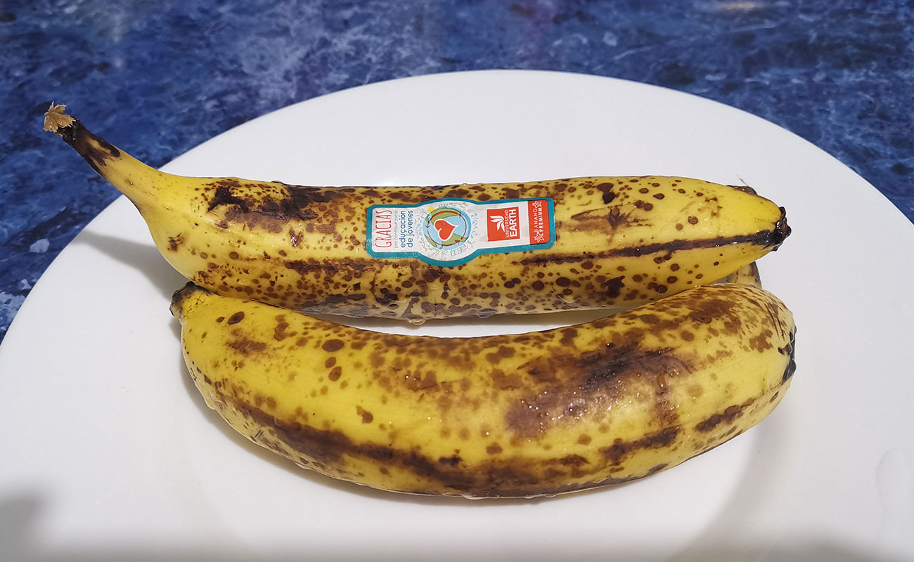 Banano de Exportación 276g / FreshMarket, Plaza Multiflores, San Francisco, Heredia 121092023