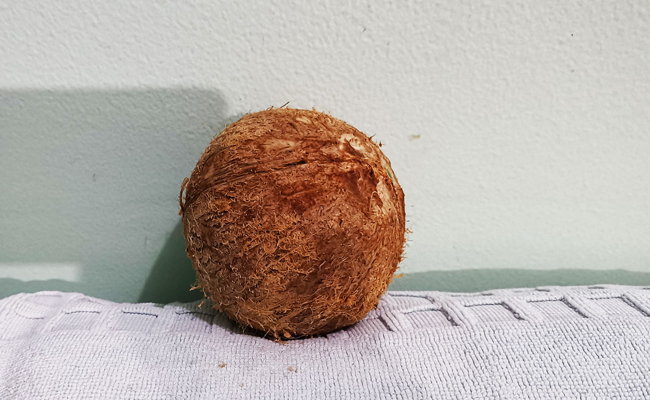 coco-por-unidad-walmart-san-francisco-heredia-20112023