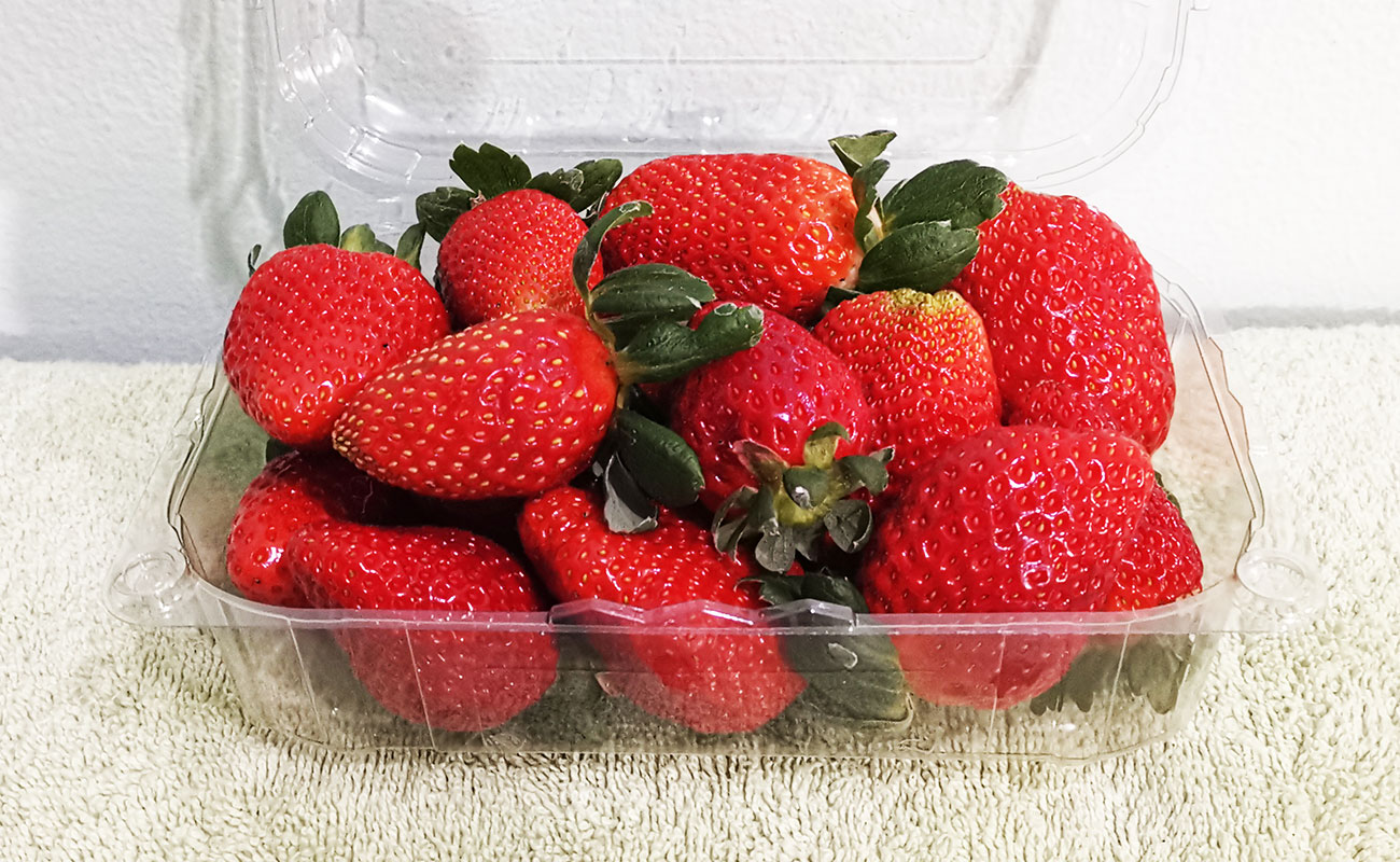 Fresas Frescas, Tramo El Poás KyC, Vara Blanca, Heredia-22082023