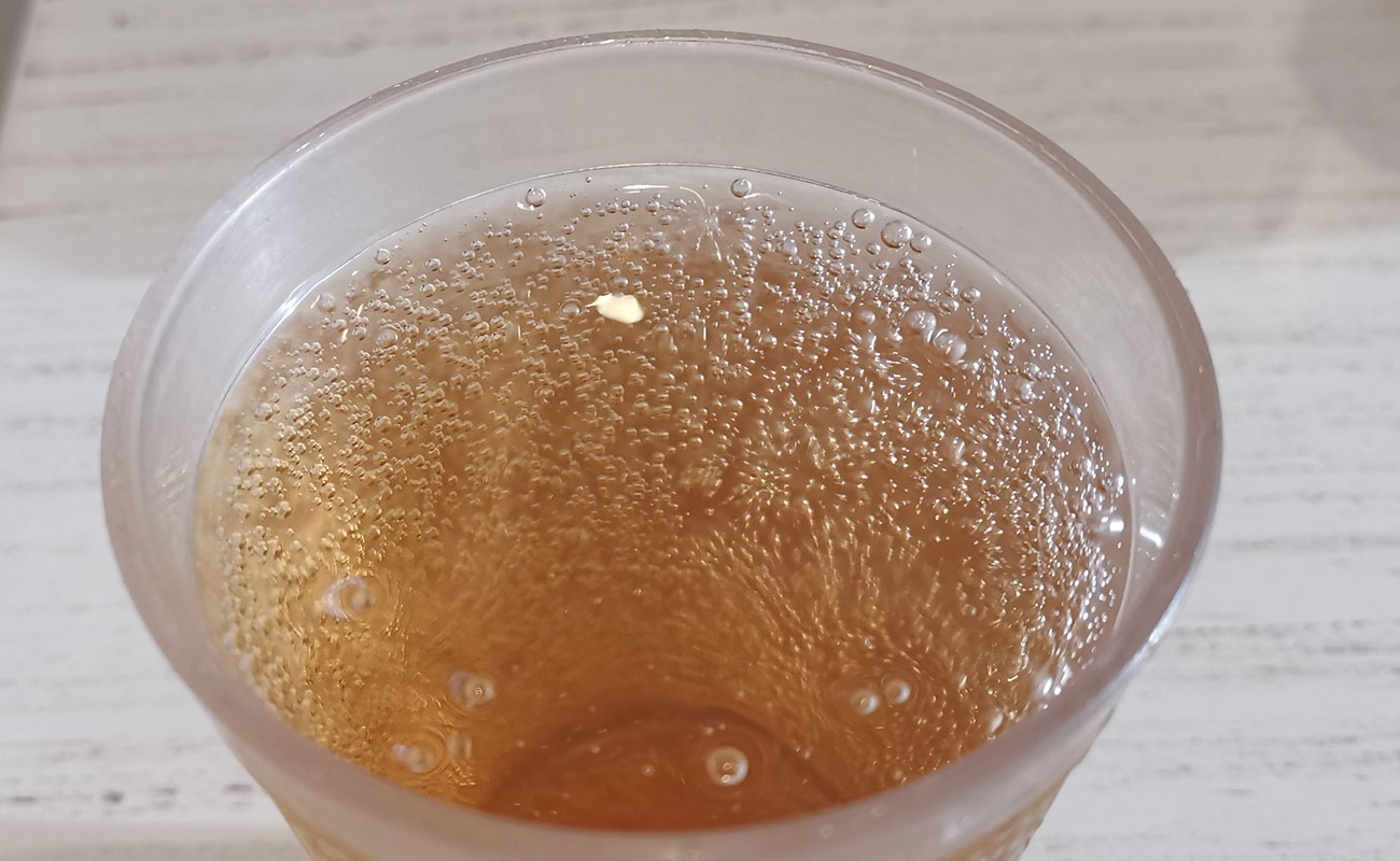 ginger-ale-12oz-restaurante-rosti-pollos-oxigeno-human-playground-distrito-san-francisco-canton-heredia-heredia-19012024