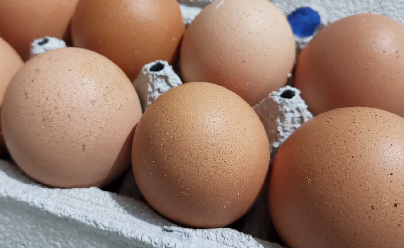 huevos-gallina-jumbo-12-Pack-915g-don-cristobal-walmart-distrito-san-francisco-canton-heredia-heredia-24042024