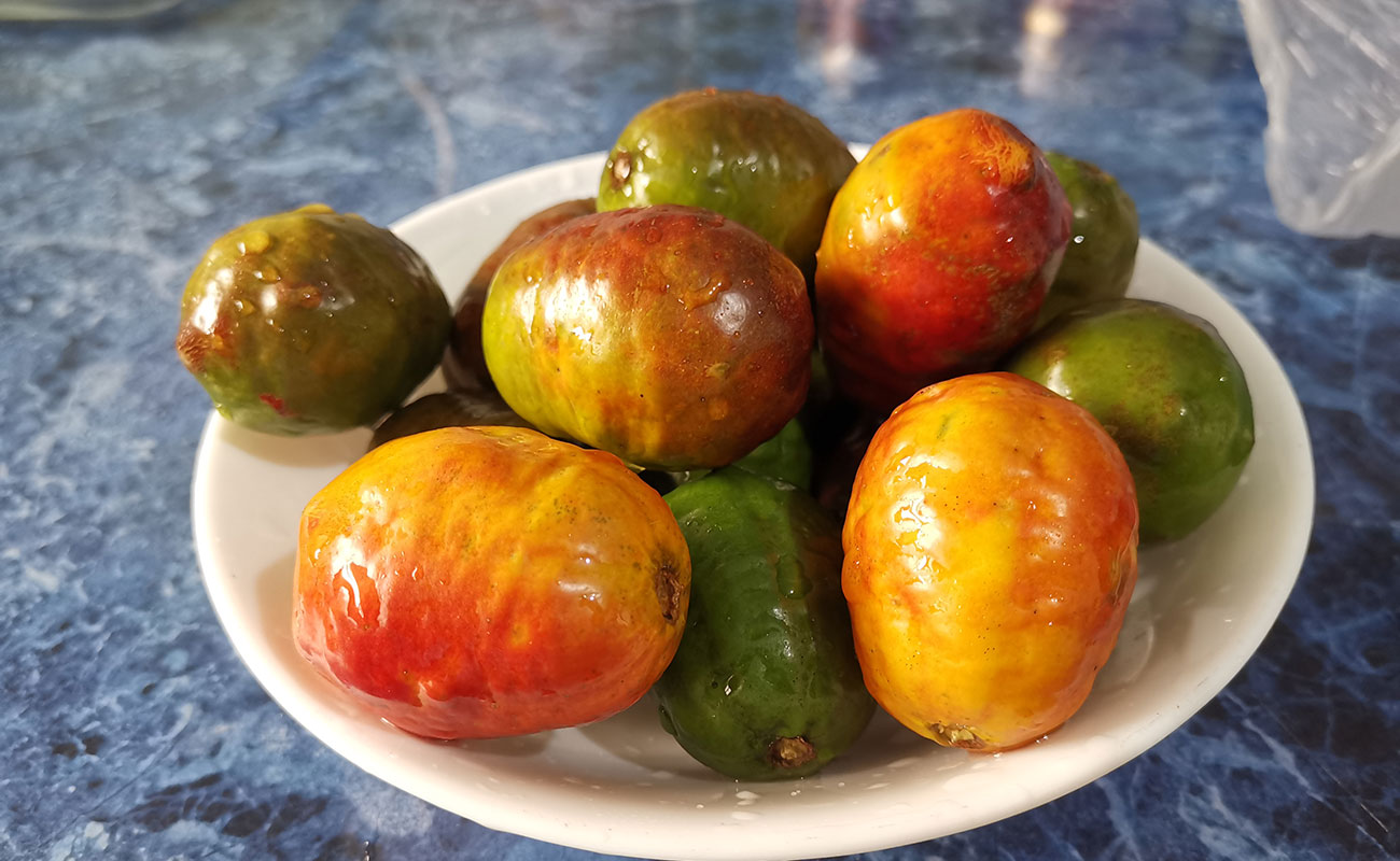 Jocotes Criollos 500g / Tramo Mercado Municipal, Heredia-24082023