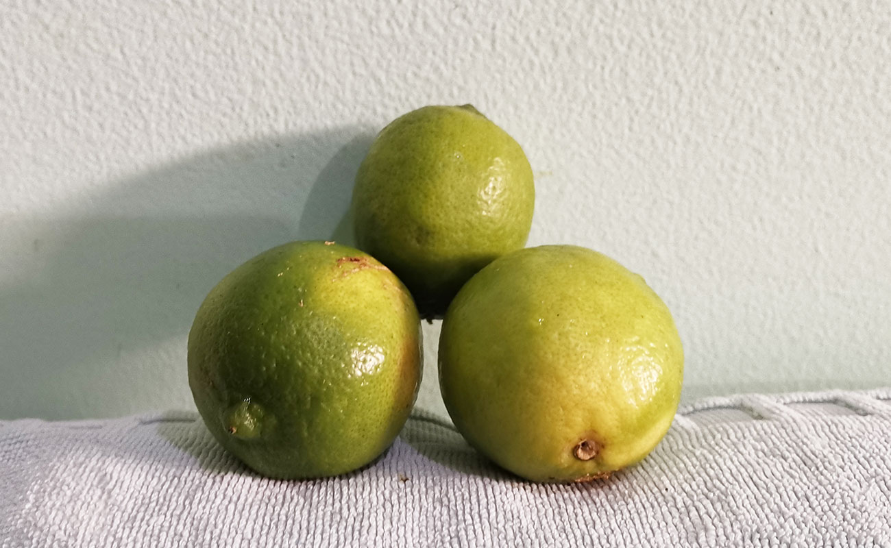 Limón Mesino / La Gran Bodega de Frutas y Verduras, Flores, Heredia-29092023