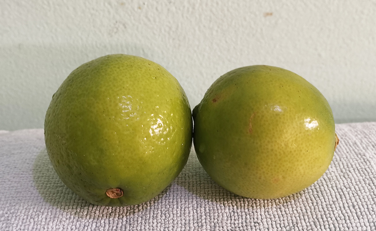 limon-mesino-por-unidad-auto-automercado-distrito-san-francisco-canton-heredia-heredia-22012024