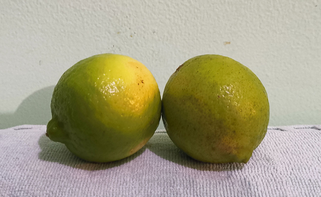 limon-mesino-por-unidad-frutas-verduras-la-gran-bodega-canton-de-flores-heredia-13112023