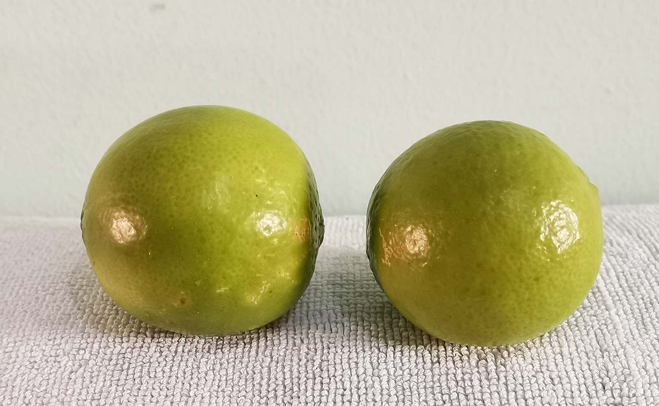 limon-mesino-por-unidad-la-gran-bodega-frutas-y-verduras-distrito-san-francisco-canton-heredia-heredia-10033034