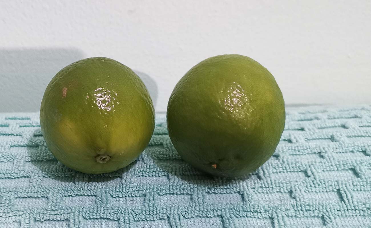 limon-mesino-por-unidad-la-gran-bodega-frutas-y-verduras-distrito-san-francisco-canton-heredia-heredia-19042024