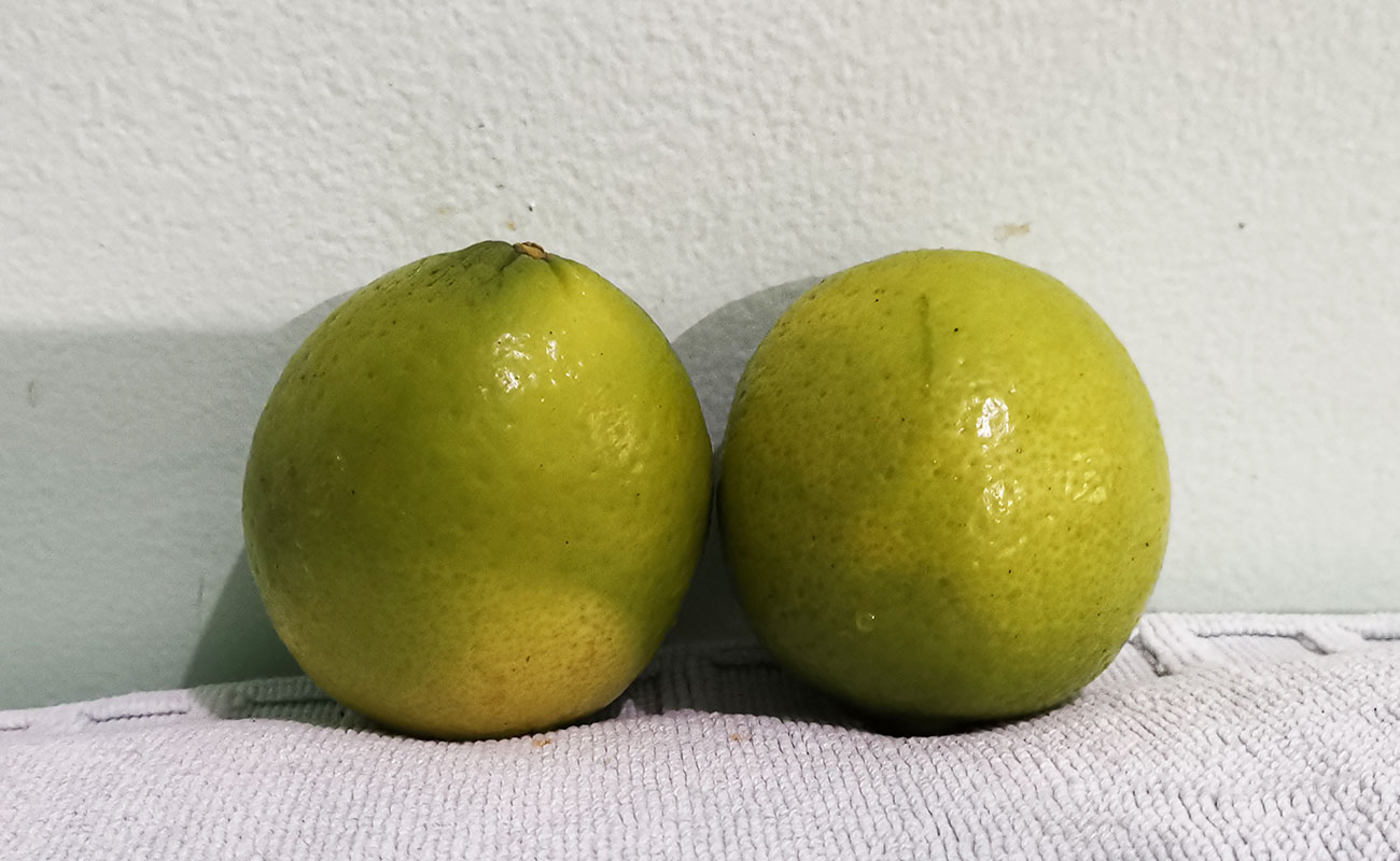 Limón Mesino por unidad / Mercado Municipal, Heredia 17102023