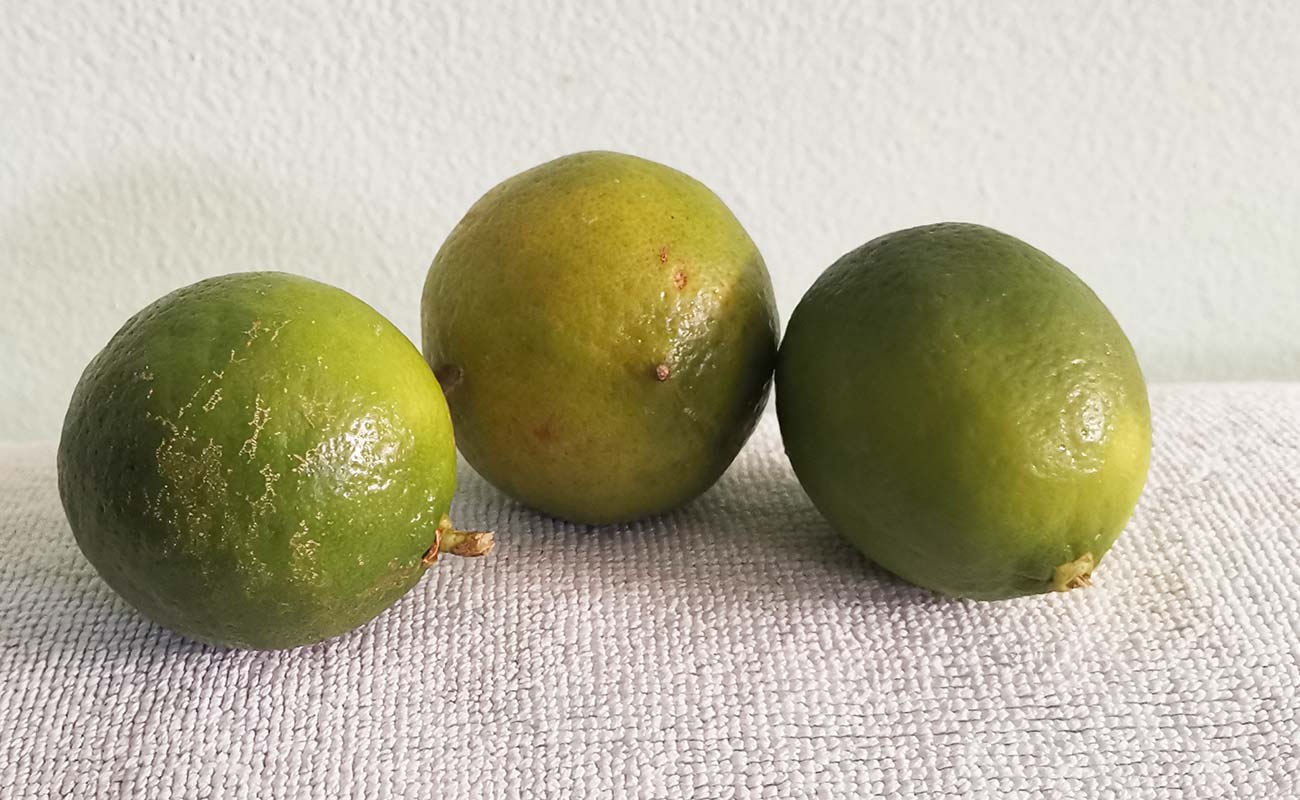 limon-mesino-por-unidad-mini-super-san-agustin-distrito-san-francisco-canton-heredia-heredia-13042024