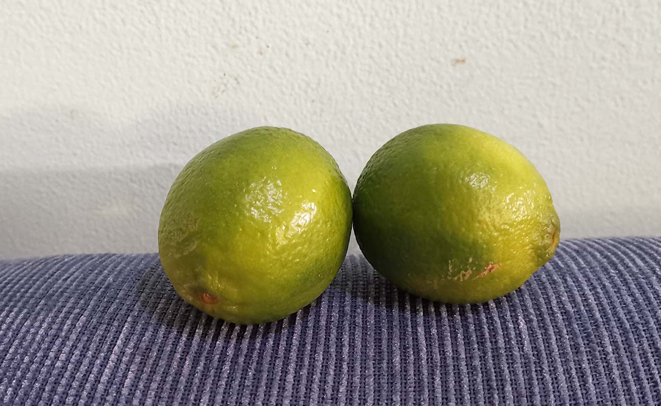 limon-mesino-por-unidad-supermercados-unidos-pali-distrito-san-joaquin-canton-flores-heredia-22022024