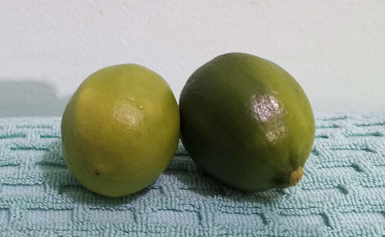 limon-mesino-por-unidad-verduleria-xioma-san-isidro-heredia-21052024