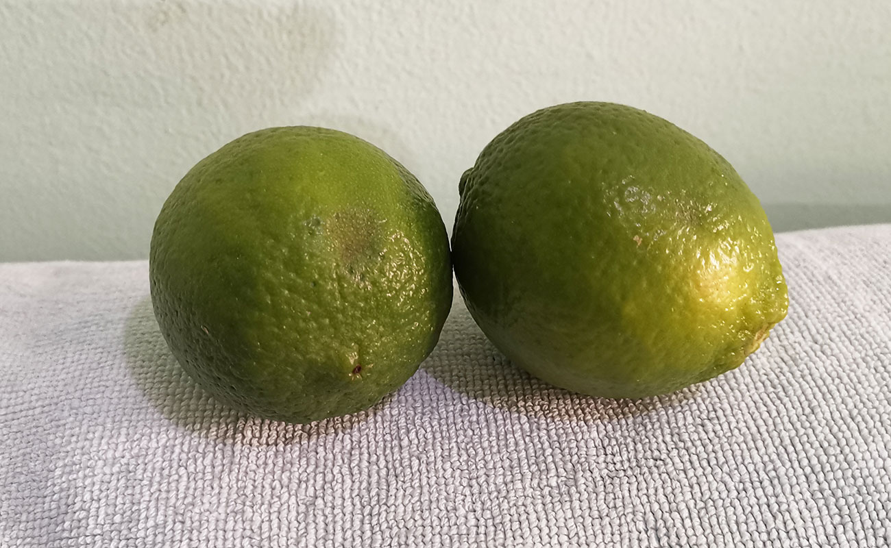 limon-mesino-supermercado-el-futuro-distrito-aurora-canton-heredia-heredia-06012024