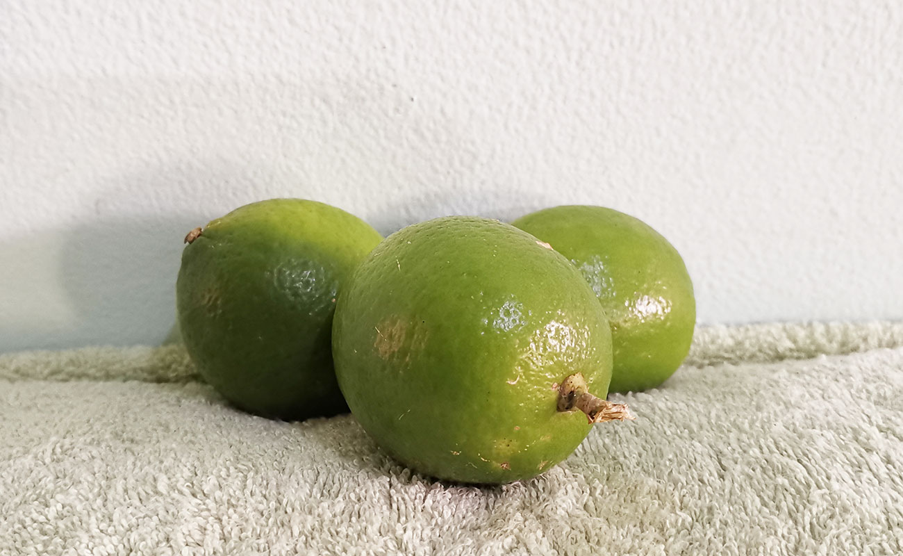 Limón Mesino / La Gran Bodega de Frutas y Verduras, Flores, Heredia-16082023