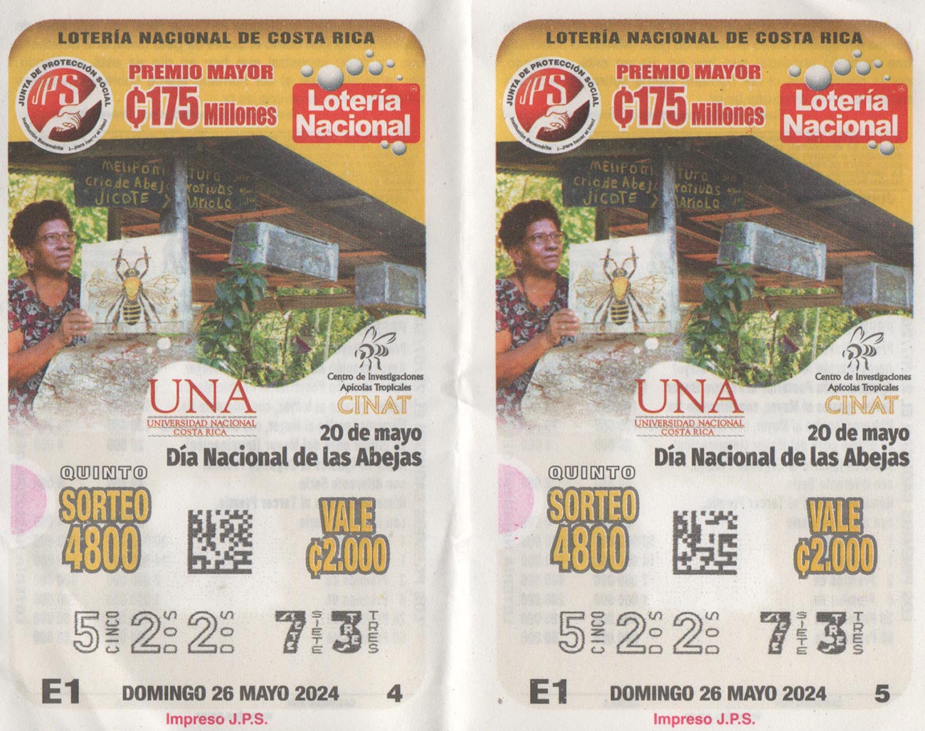 loteria-522-73-jps-dia-nacional-de-las-abejas-domingo-26052024