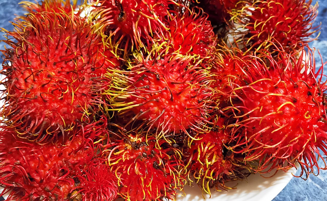 mamon-chino-rambutan-1000g-fruteria-kristal-ruta-32-el-cruce-distrito-guapiles-canton-pococi-provincia-limon-30062024