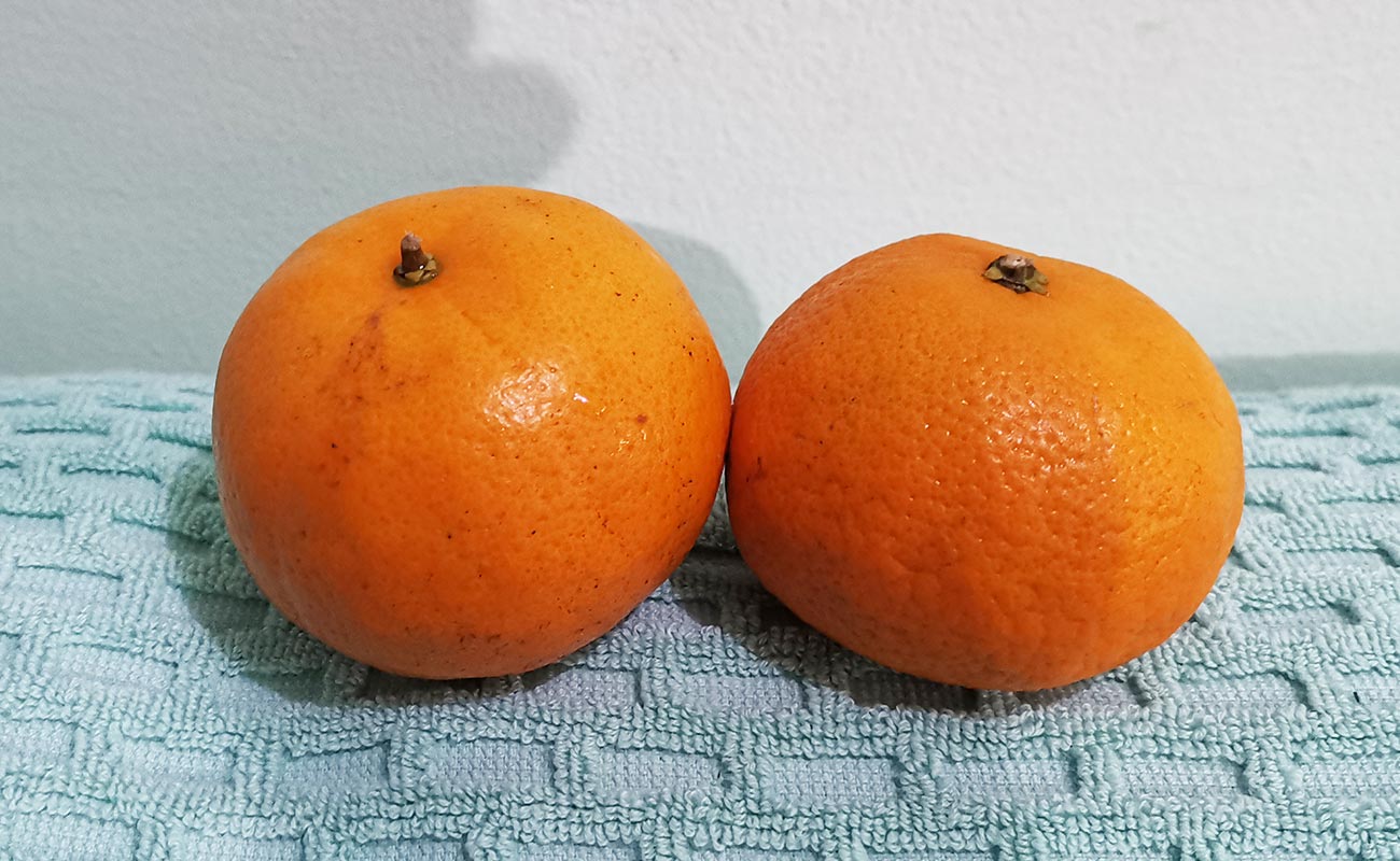 papalla-a-granel-640g-walmart-distrito-san-francisco-canton-heredia-heredia-24042024