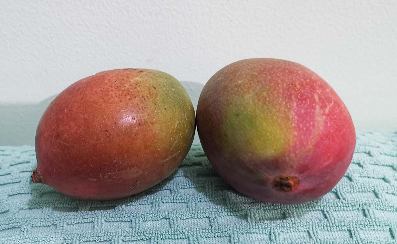 manga-importada-1390g-walmart-distrito-san-francisco-canton-heredia-heredia-24042024