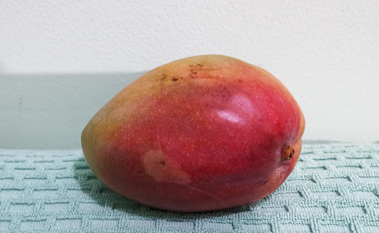 manga-importada-6-Pack