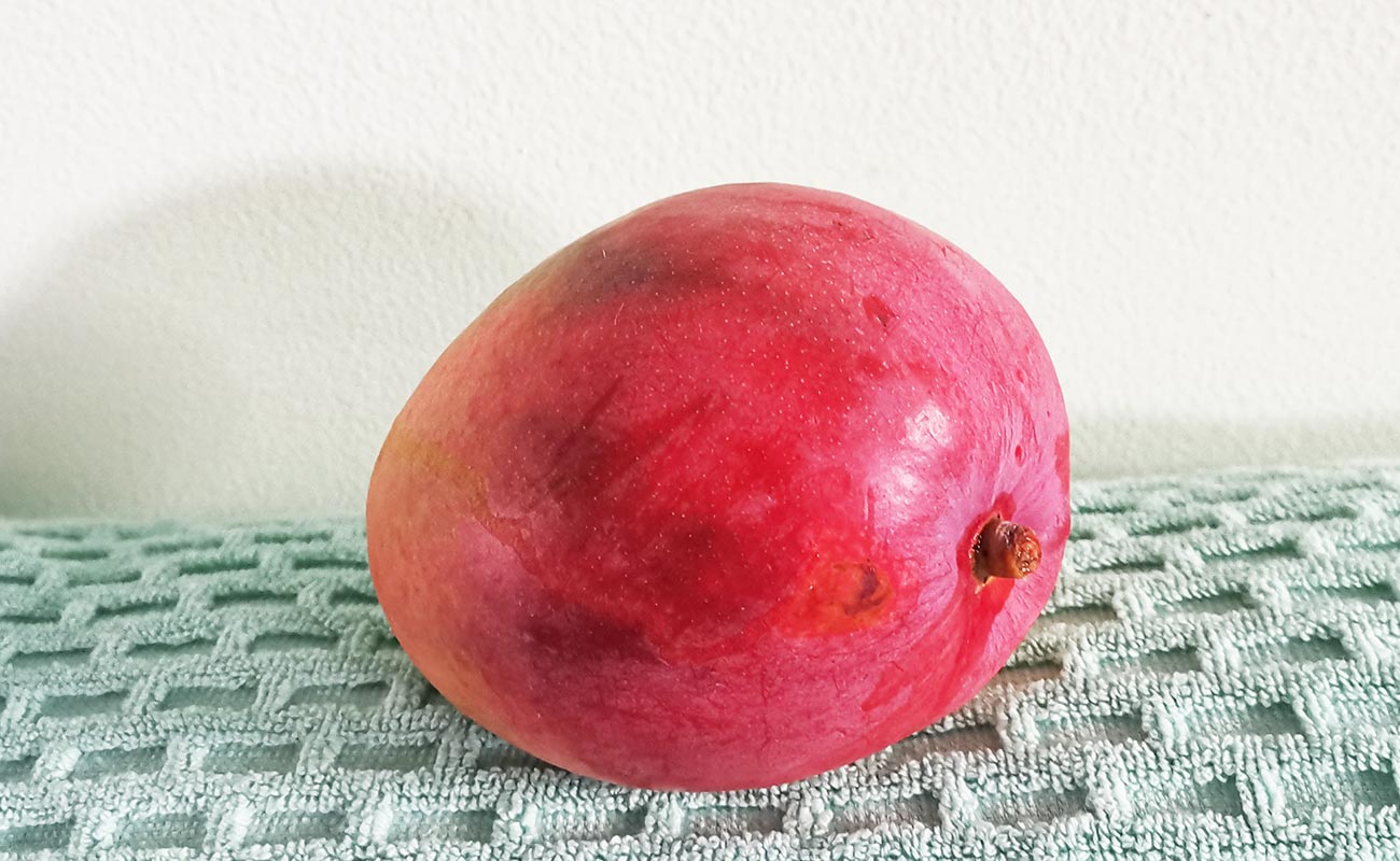 manga-importada-660g-walmart-distrito-san-francisco-canton-heredia-heredia-30042024