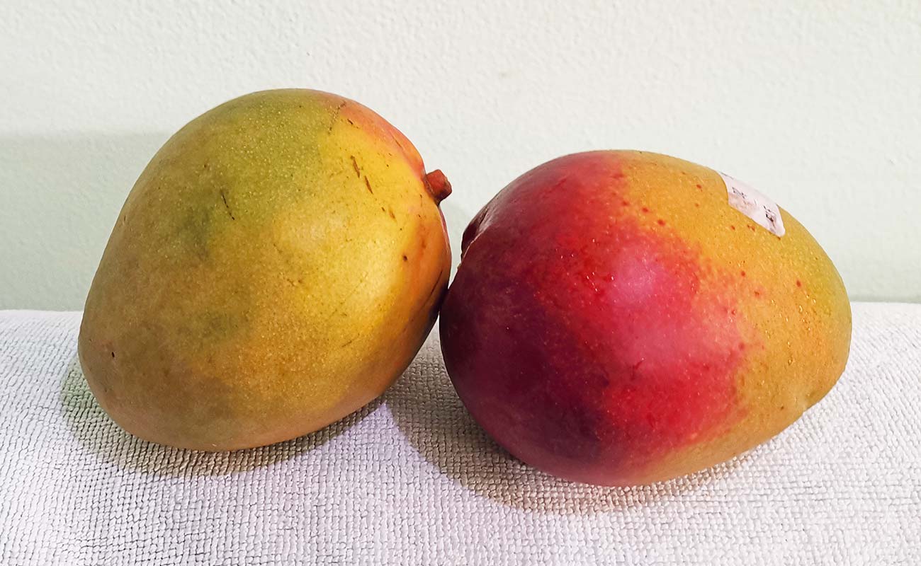 manga-importada-715g-walmart-distrito-san-francisco-canton-heredia-heredia-09042024