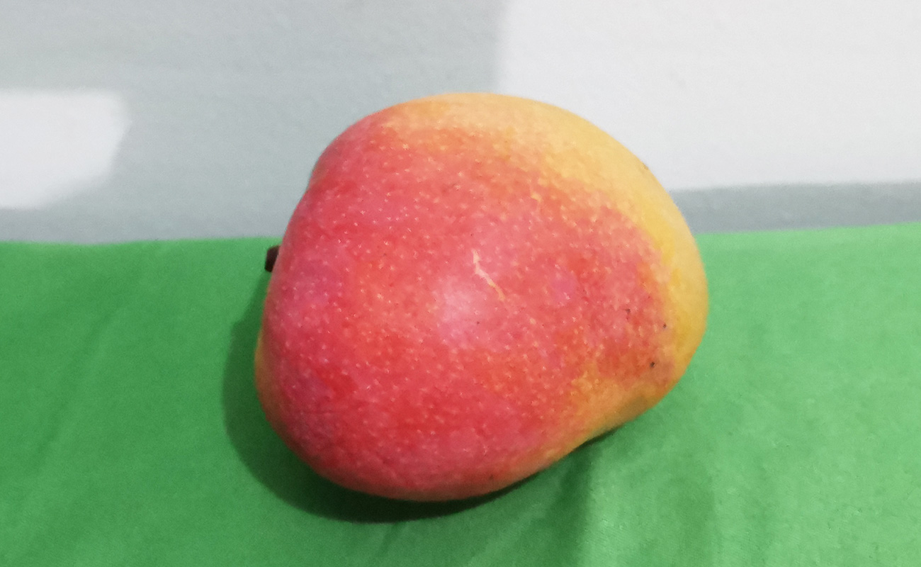 manga-mora-1000g-mercado-central-distrito-los-angeles-canton-heredia-heredia-163022024