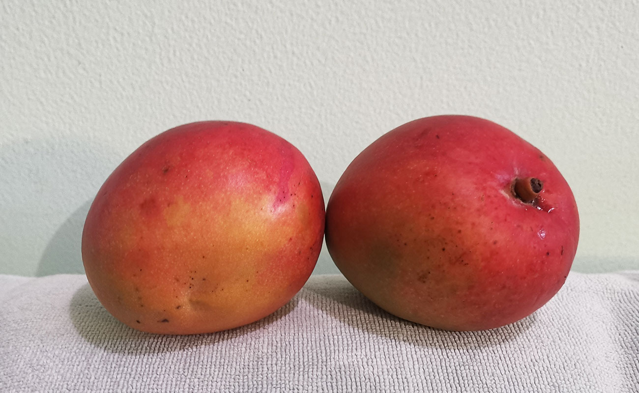 manga-nacional-1000g-fruteria-kristal-ruta-32-guapiles-limon-06122023