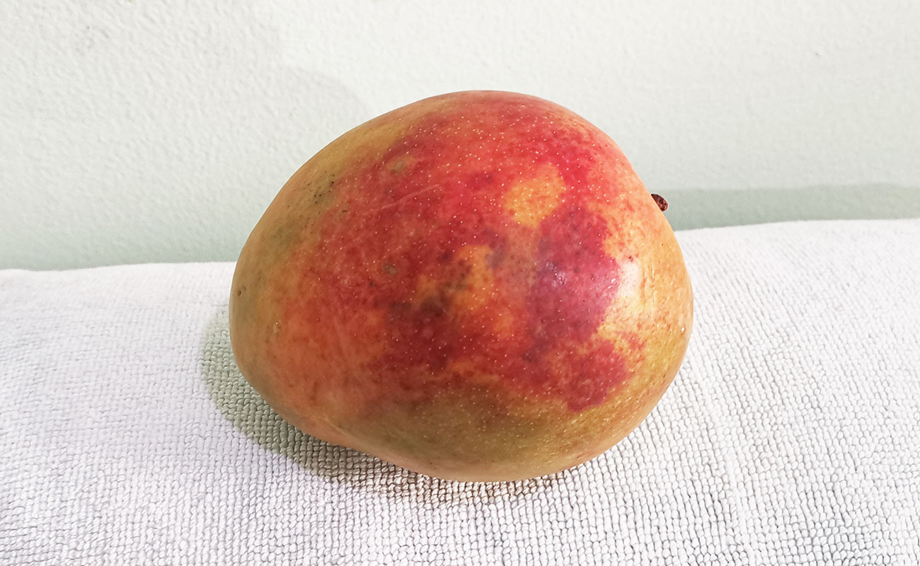 manga-nacional-1000kg-verduras-la-gran-bodega-distrito-san-francisco-canton-heredia-heredia-03012024