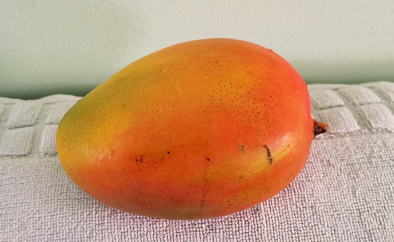 manga-nacional-1115g-masxmenos-distrito-san-francisco-canton-heredia-heredia-25032024