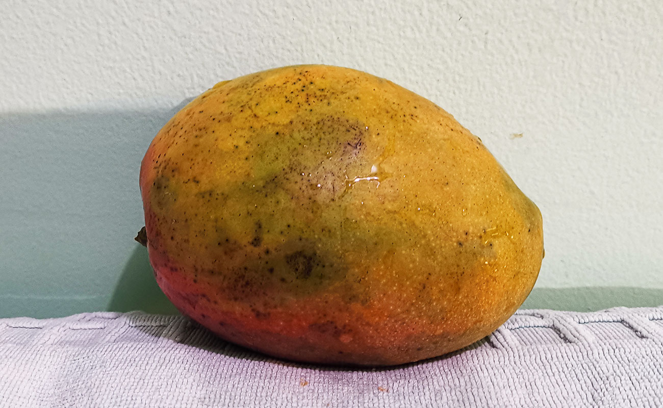 manga-nacional-1300g-frutas-verduras-la-gran-bodega-canton-de-flores-heredia-13112023