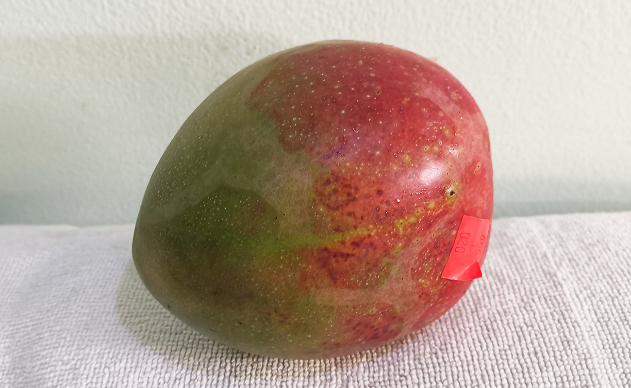 manga-nacional-530g-auto-automercado-distrito-san-francisco-canton-heredia-heredia-22012024