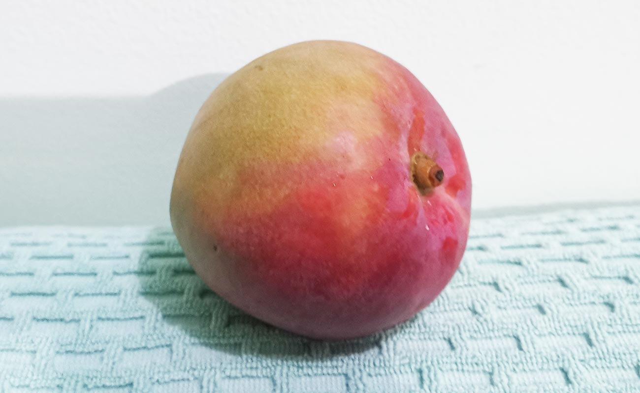 manga-nacional-792g-la-gran-bodega-frutas-y-verduras-distrito-san-francisco-canton-heredia-heredia-10052024