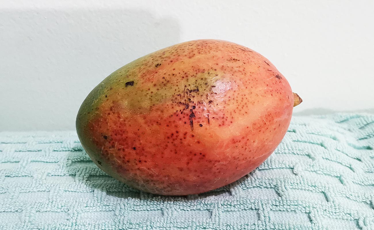 manga-nacional-925g-masxmenos-distrito-san-francisco-canton-heredia-heredia-16052024