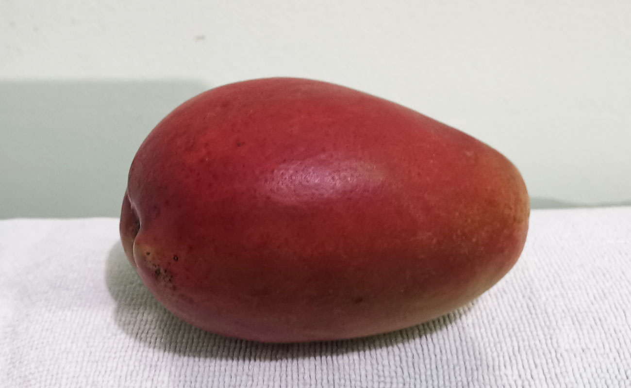 manga-nacional-930g-masxmenos-distrito-san-francisco-canton-heredia-heredia-23112023