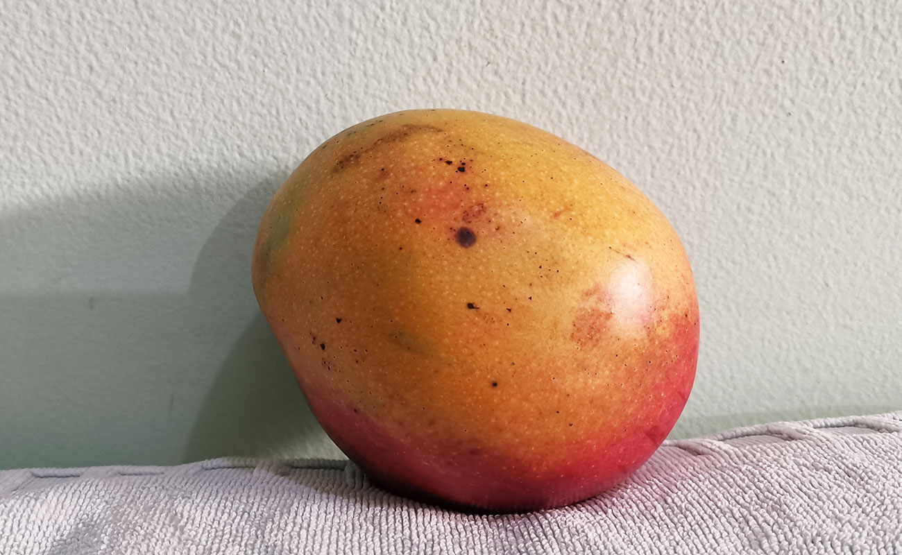 Manga Nacional / La Gran Bodega de Frutas y Verduras, Flores, Heredia-29092023